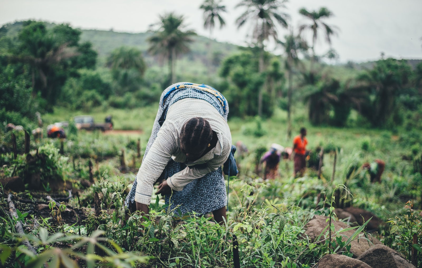 Your Virtual Cooling Assistant Nigeria