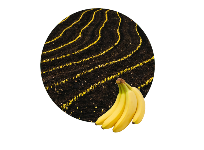 88% of Nigeria’s farmers are smallholders with